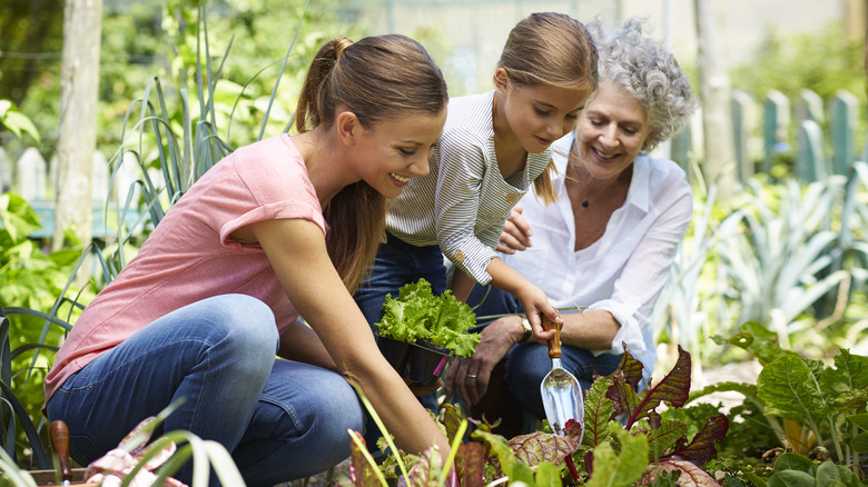 Three generations of women gardening