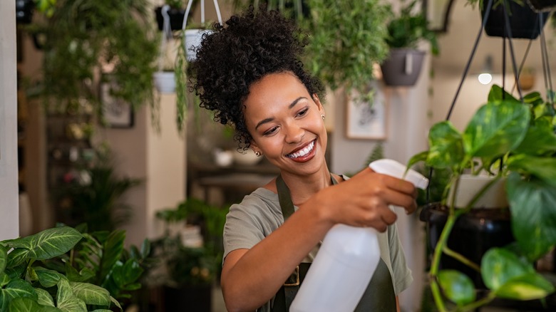 Woman watering indoor plants