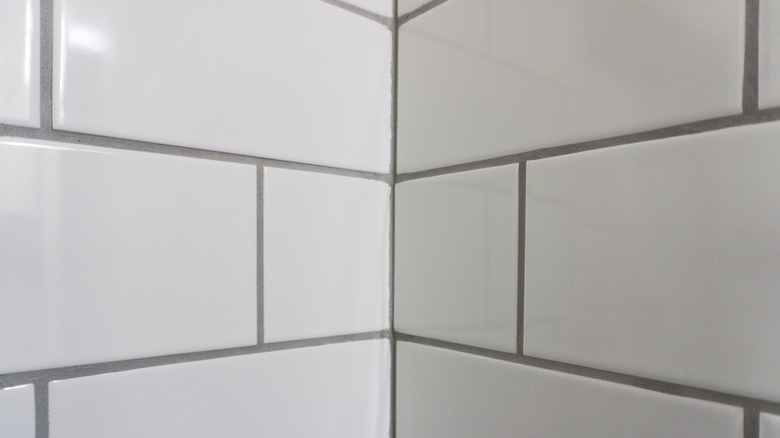 gray grout white tile