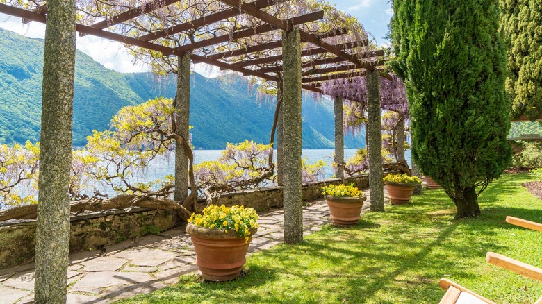 Arbor walkway in Italian garden