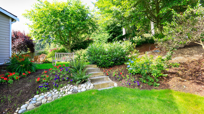 Sloped backyard with landscaping