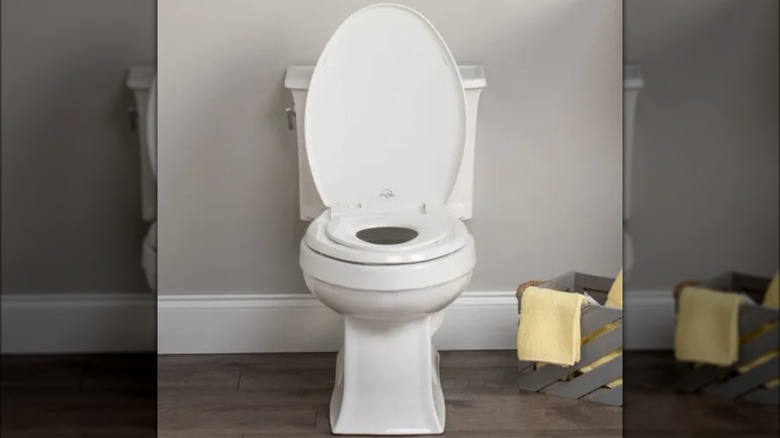 Bemis Little2Big Potty Training Seat