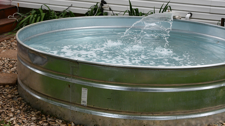 stock tank pool in yard