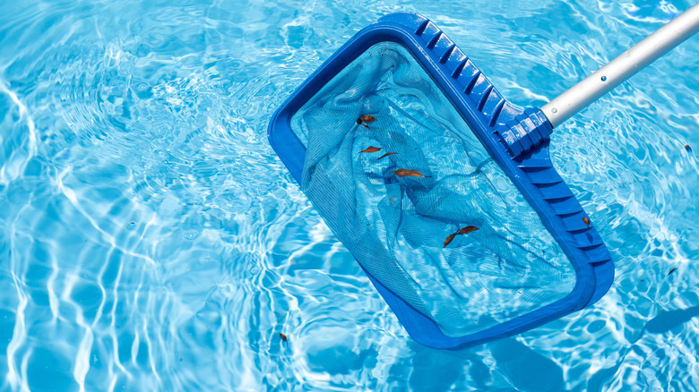 using a skimmer to clean pool