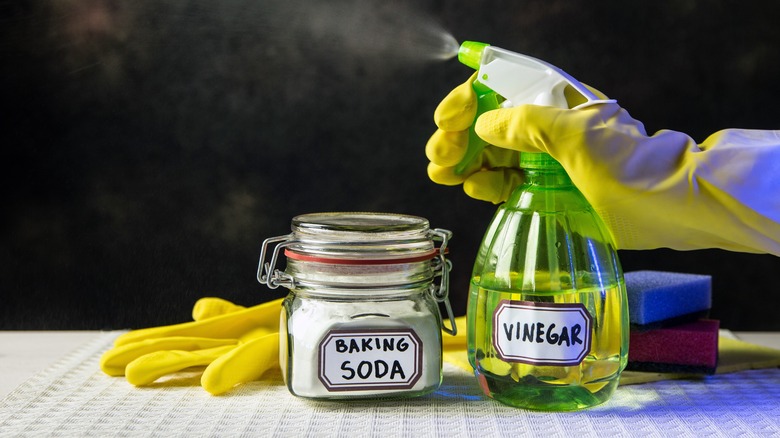 baking soda and vinegar spray bottle