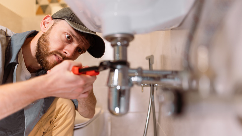 plumber fixing a kitchen sink