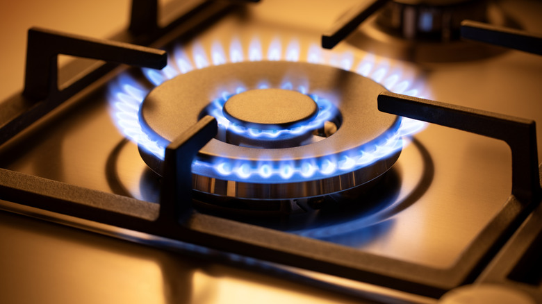 Range burner of a natural gas home stove surrounded by a blue flame.