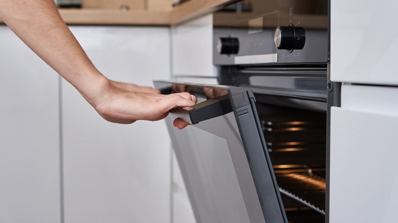 Woman opening a sleek oven door with handle