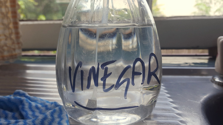 Vinegar in spray bottle
