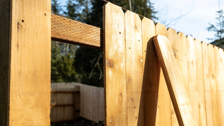 A close boarded picket fence with an extra picket and a wide gap