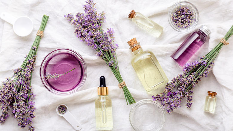 Lavender essential oils