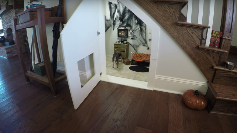 Decorated dog room under staircase