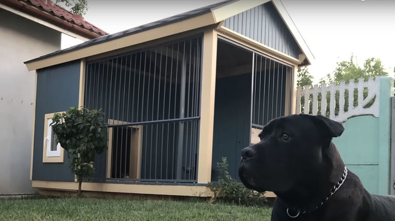 Metal outdoor doghouse with gate