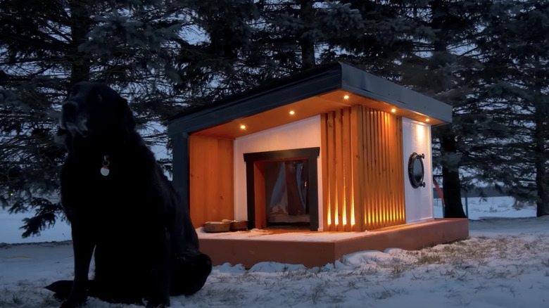 Modern doghouse with slanted roof