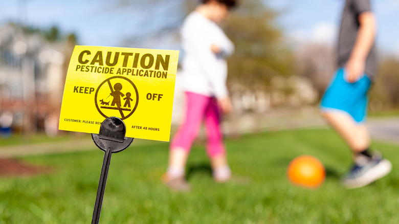 kids playing on law with pesticides 