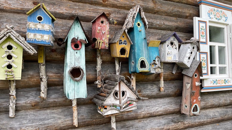 severl birdhouses in a row