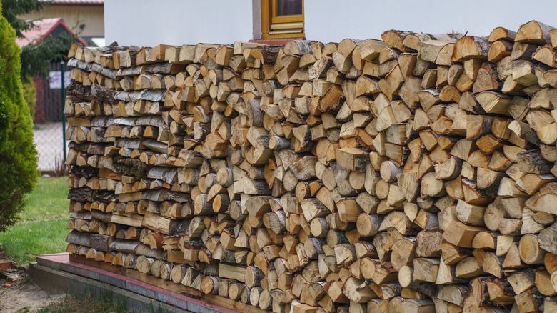 firewood stacked against wall