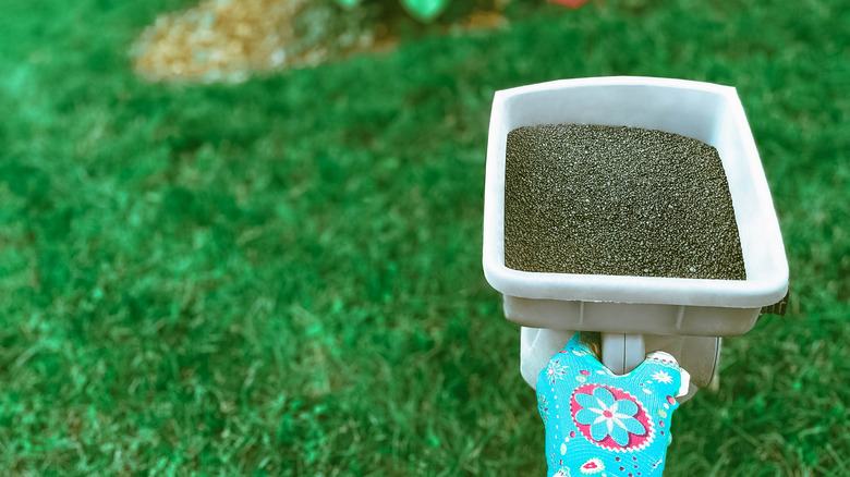 woman fertilizing lawn