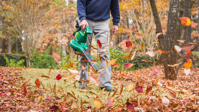 Using a leafblower in yard