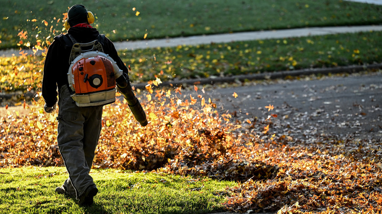 Person wearing a backpack leaf blower