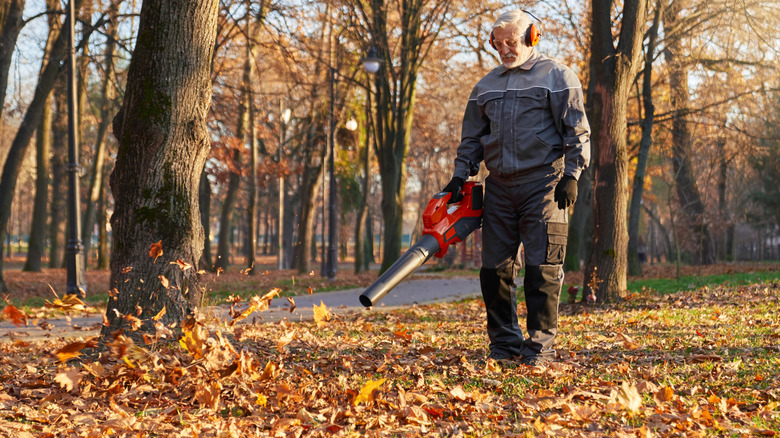 Man leaf blowing his yard