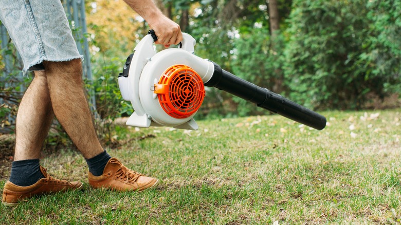 Homeowner using leaf blower