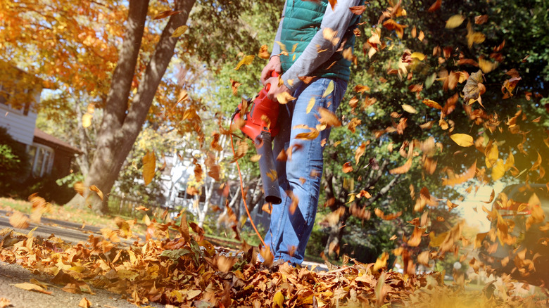 person using a leaf blower