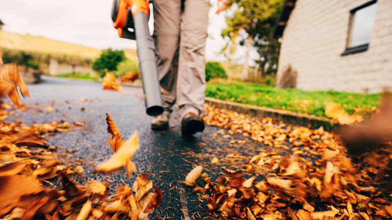 person using a leaf blower