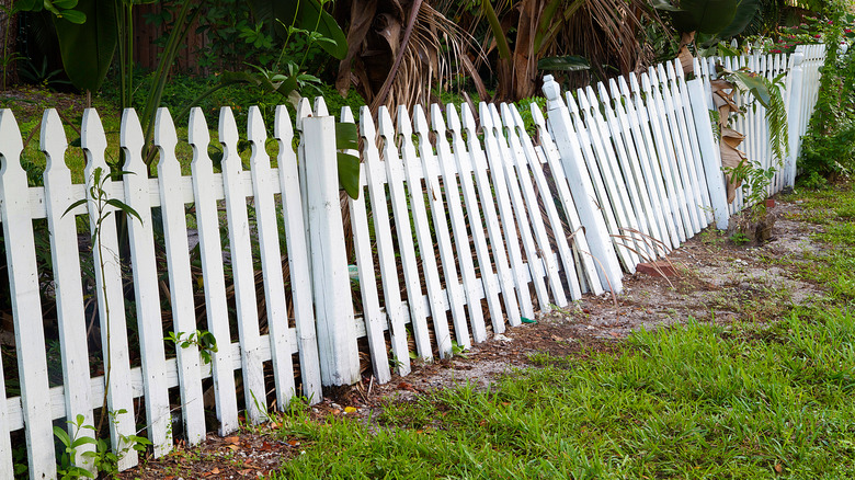 A white picket fence falls over