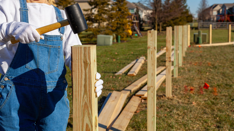 A person installs new wooden fence posts