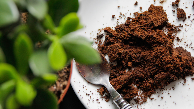 Coffee grounds with spoon