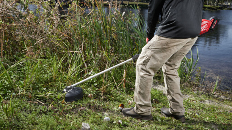 A man cutting brush with a Milwaukee weed eater brush cutter