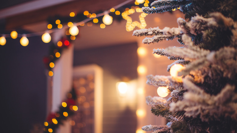 close up of Christmas lights on an evergreen branch in front of a house