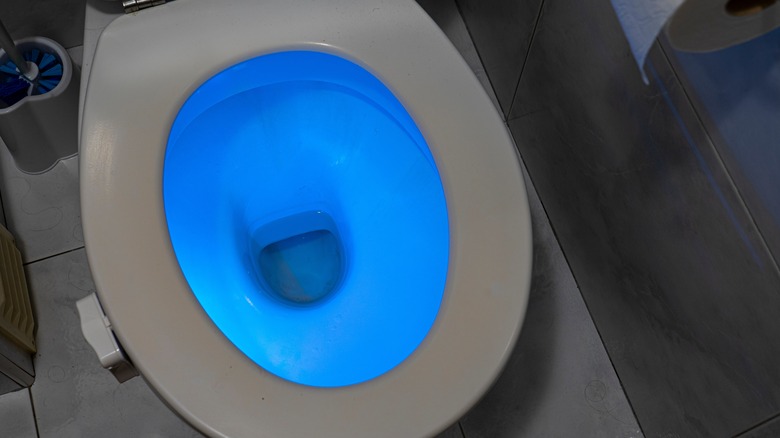 Illuminated toilet bowl