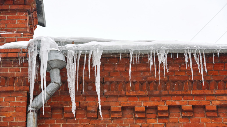 Sharp icicles on the roof of a house