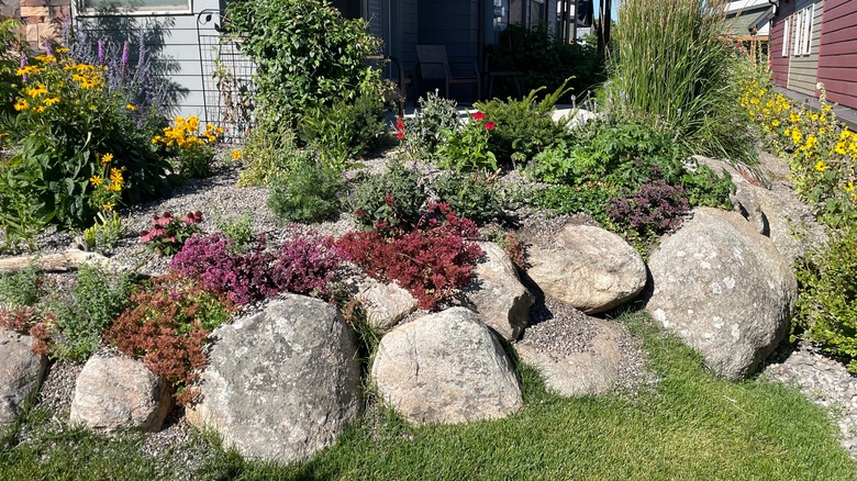 Boulders in garden