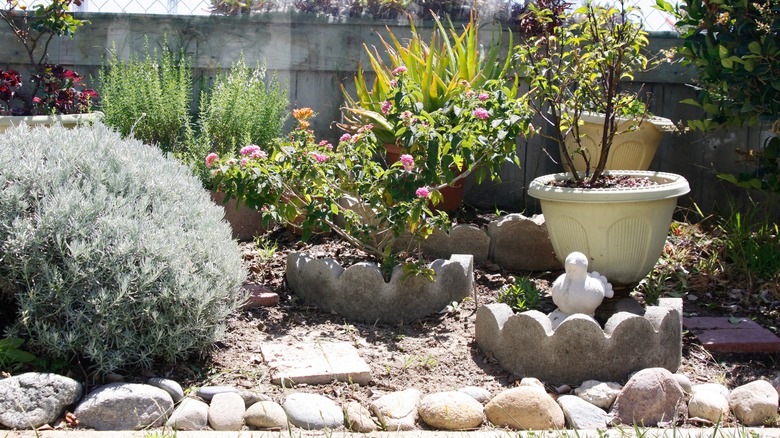 Herb garden with stones
