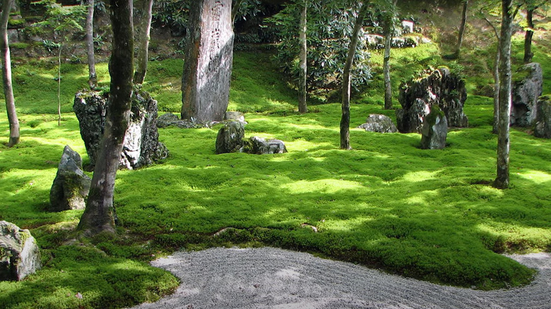 Moss garden near gravel path