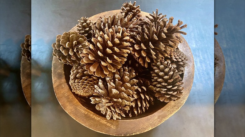 wooden bowl with pinecones