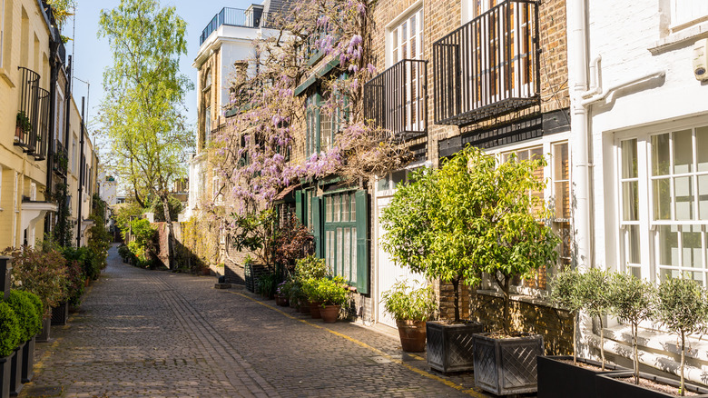 South Kensington mews street