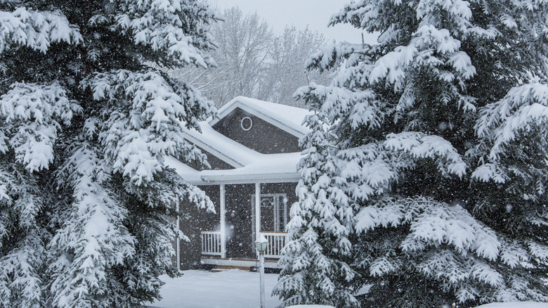 House during winter