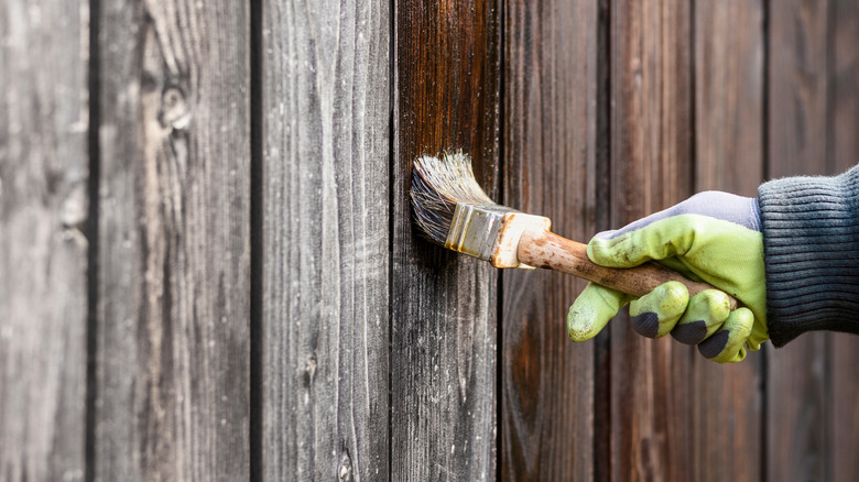 A hand painting an old fence with stain