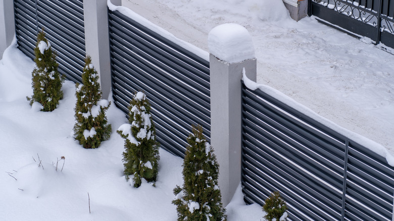 Fence covered in snow in yard