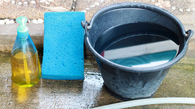 Soap, blue sponge, and bucket filled with water outside