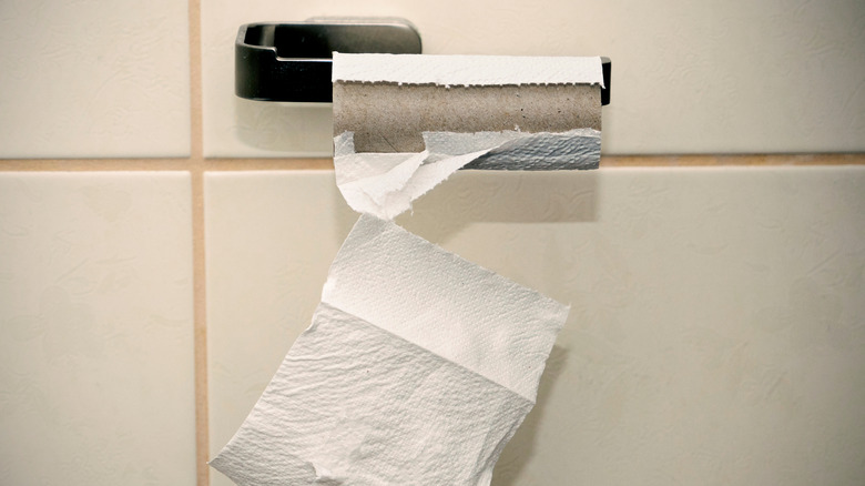 Nearly empty toilet paper roll