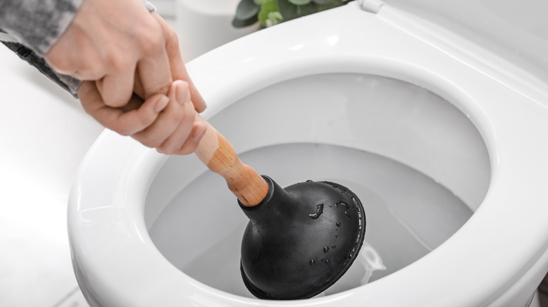 Toilet being plunged