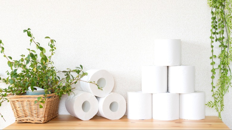 toilet paper rolls with houseplants