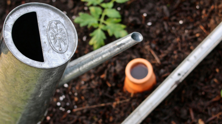 Watering can refilling an olla