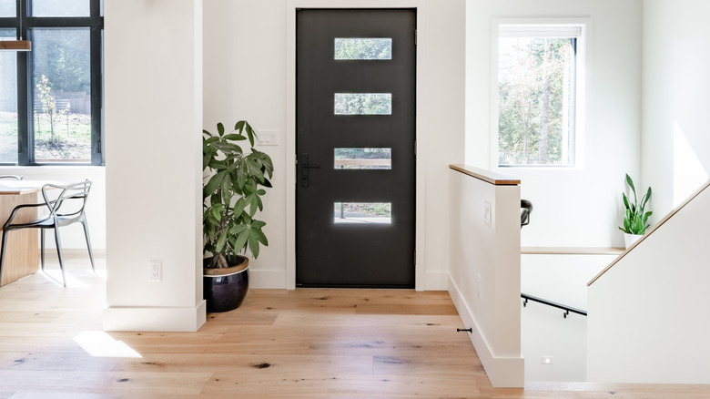 Modern entryway in home with plant and black door