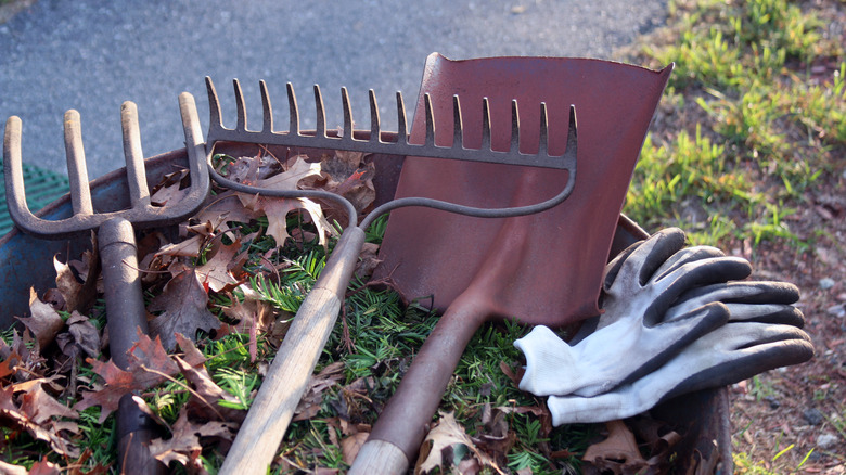 rusty garden tools